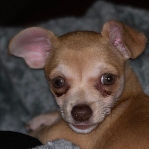 Meet your Posher, Leanne